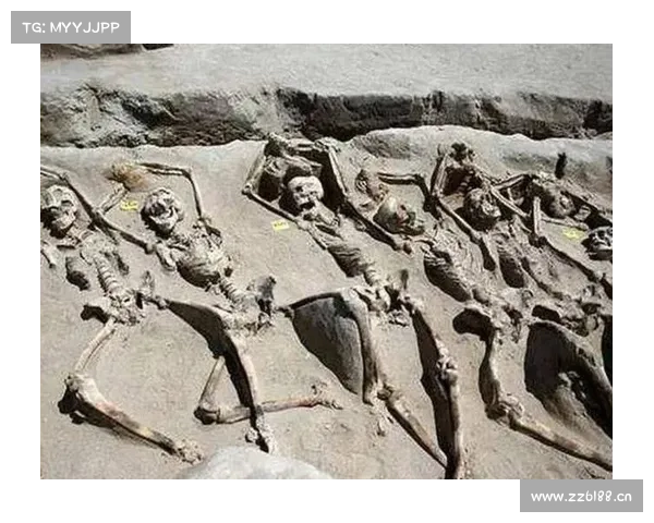 风云三国:特殊武器装备取消之谜 风云三国:特殊武器装备取消之谜